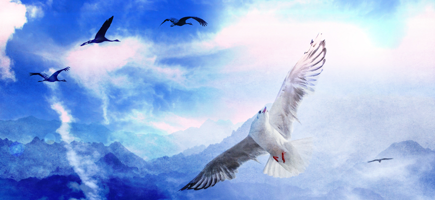 الحرّية في الإسلام ومنطق الطير في السماء