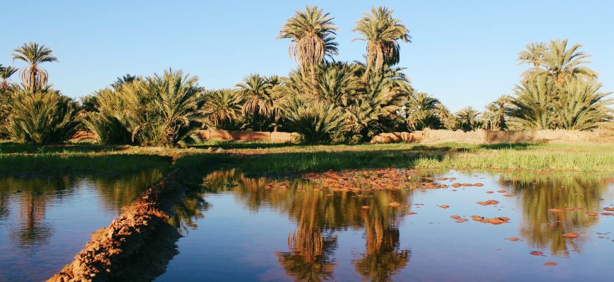 حقوق الماء وعملية السقي في مغارب القرون الوسطى