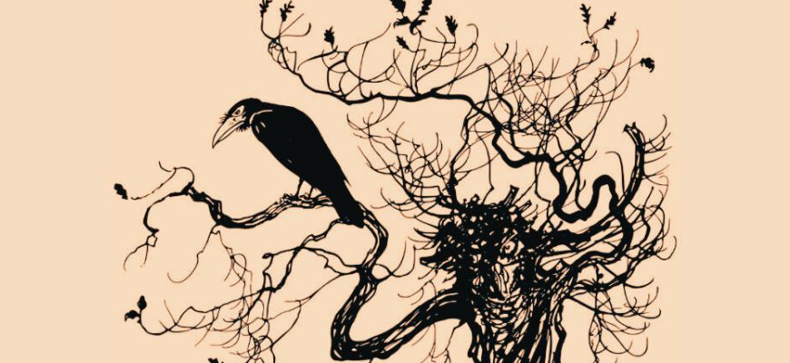 عن تيمة الموت وتيمات أخرى في قصص «تكلم كي لا أموت» 