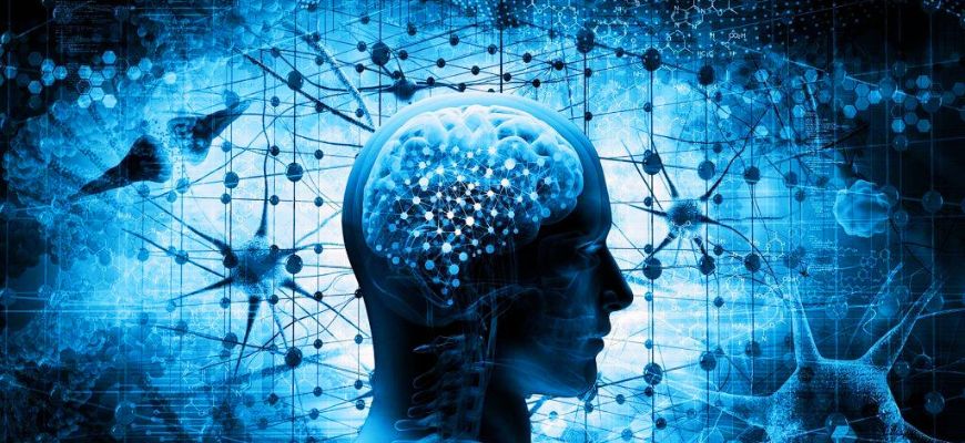ممارسات العقل الإنساني ما بين العقل الأداتي والنقدي والتواصلي (رؤية تحليلية – نقدية)
