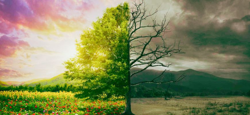 مَسْألَةُ اَلْخَيْرِ وَالشَّرِ