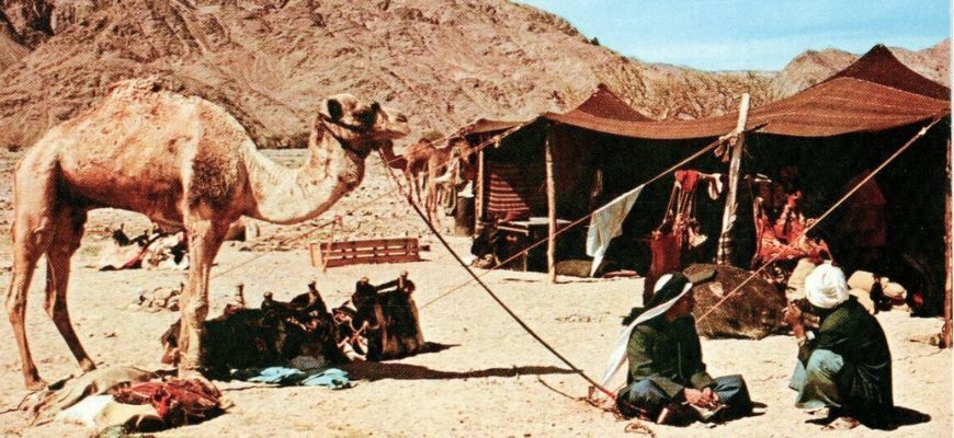 عن البداوة والتراث... مدخل تفسيري وملاحظات أوّليّة