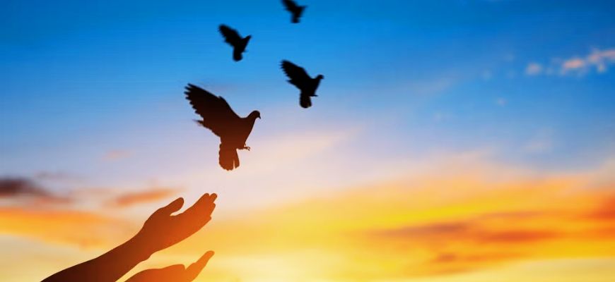 مفهوم السلام في الفلسفة السياسية المعاصرة:  قراءة تحليلية في مشروع برتراند راسل