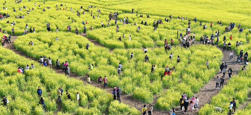 الأزمة الحضارية والوهم العقدي المؤسِّس